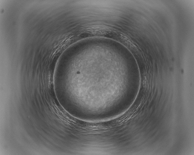 X0000086881108200704231056