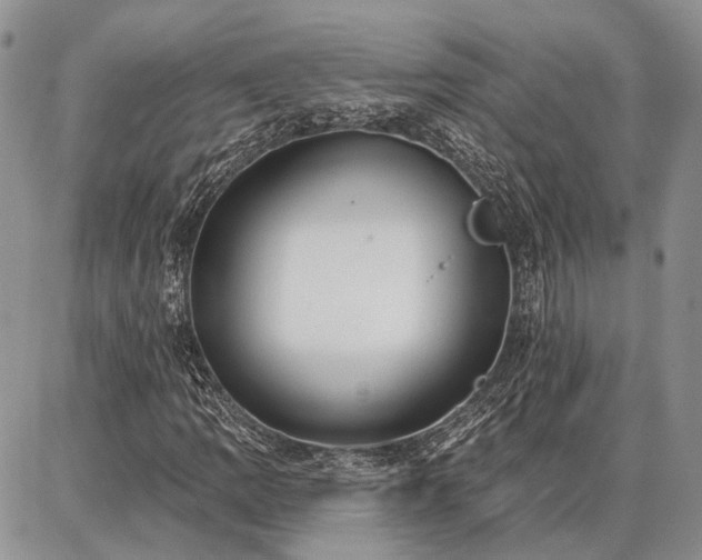 X0000086881109200704231056