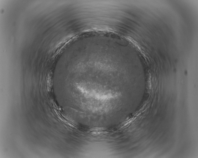 X0000086881110200704231056