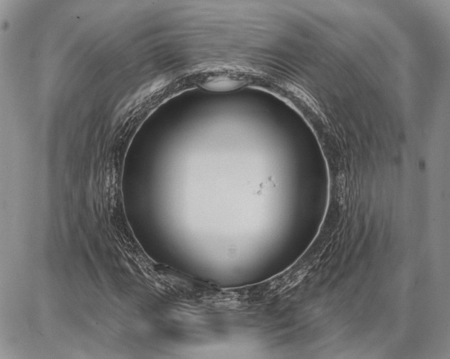 X0000086881111200704231056