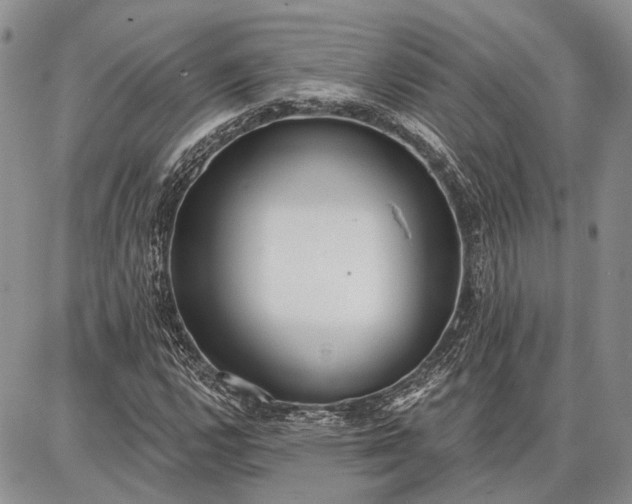 X0000086881112200704231056