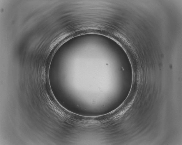 X0000086881113200704231056