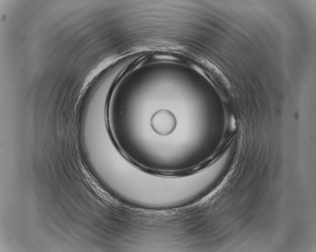 X0000086881114200704231056