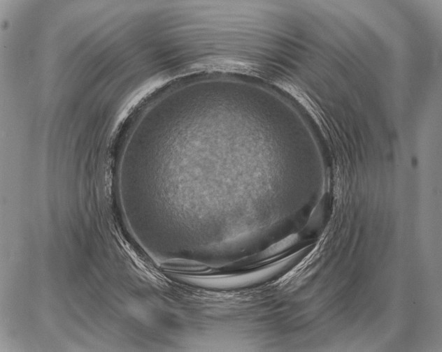 X0000086881115200704231056