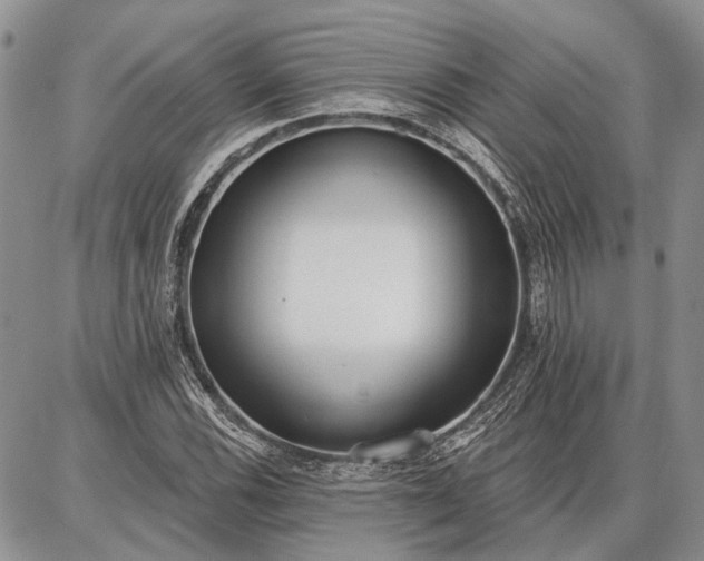 X0000086881116200704231056