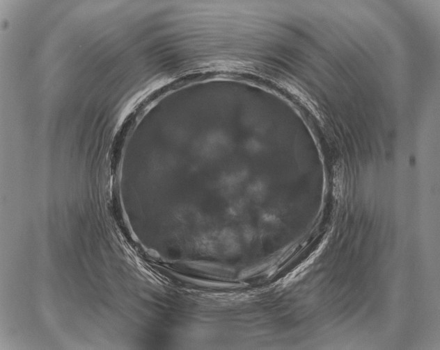 X0000086881117200704231056