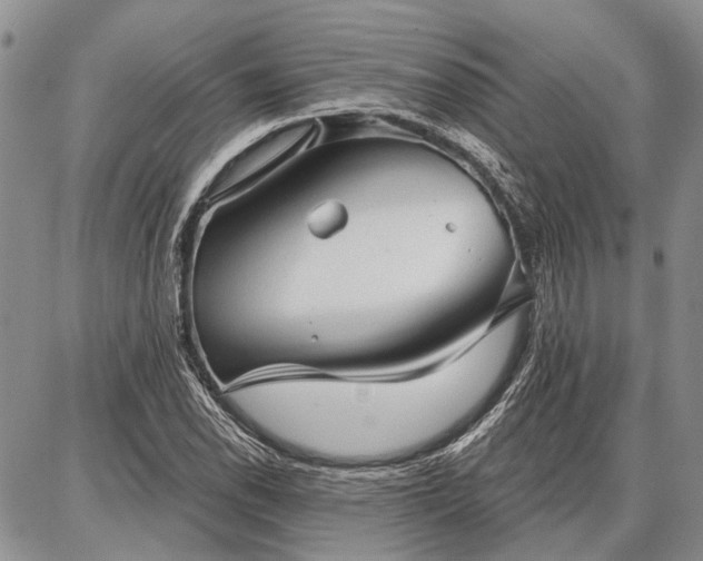 X0000086881118200704231056