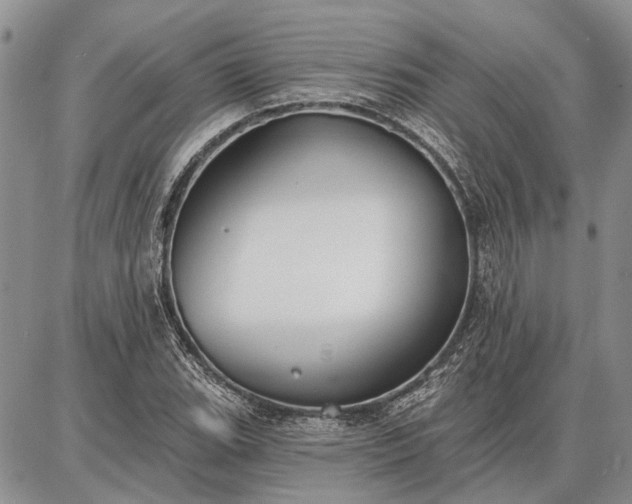 X0000086881119200704231056