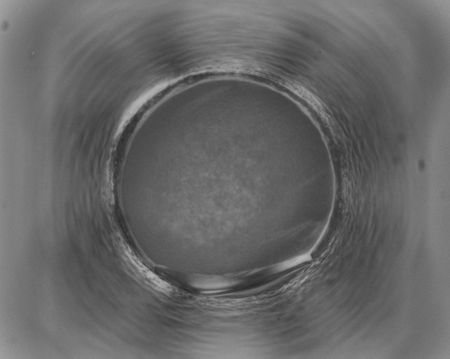 X0000086881120200704231056