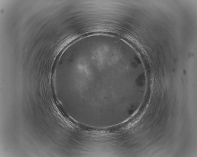 X0000086881121200704231056