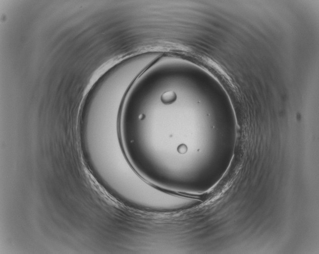 X0000086881122200704231056