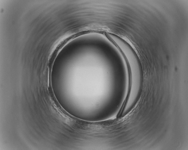 X0000086881123200704231056