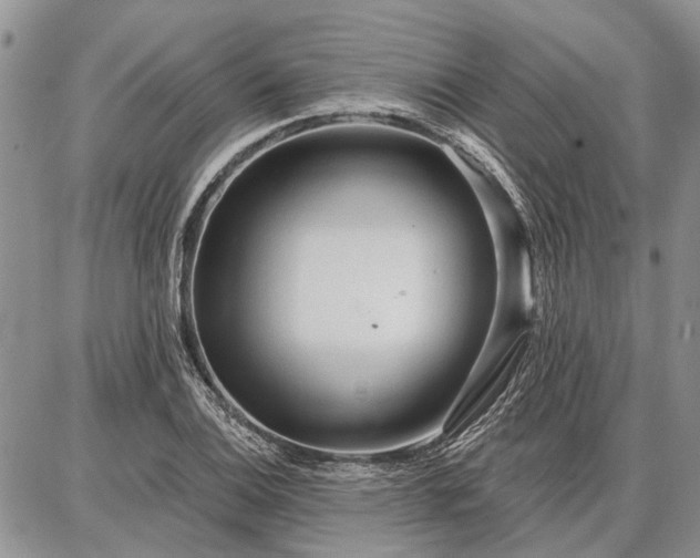 X0000086881124200704231056