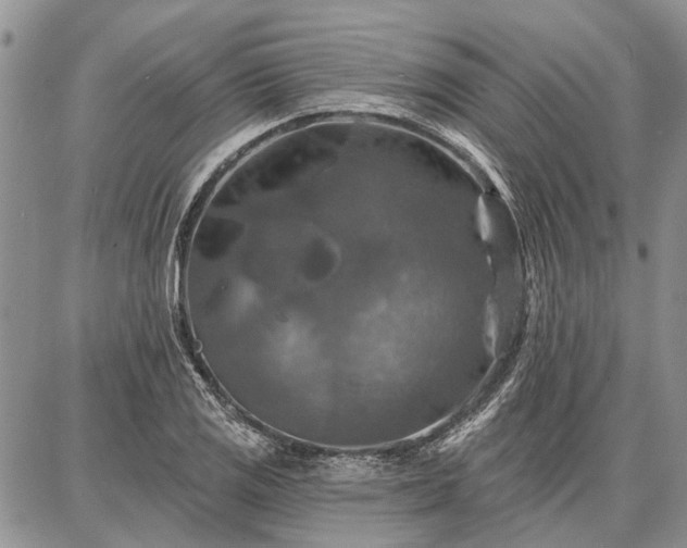 X0000086881125200704231056