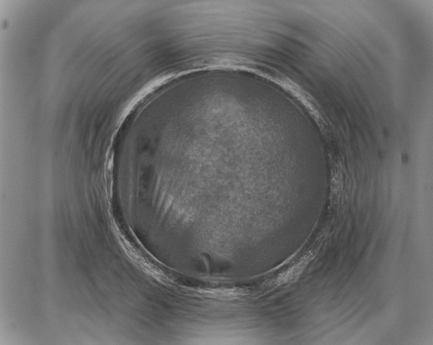 X0000086881126200704231056