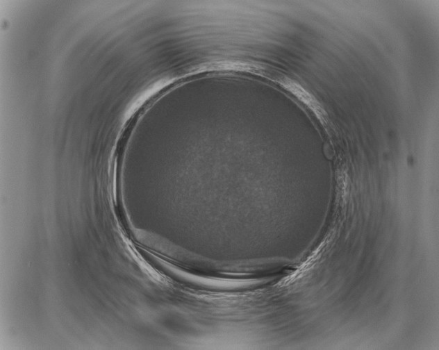 X0000086881127200704231056