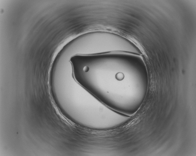 X0000086881128200704231056