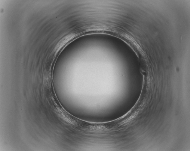 X0000086881129200704231056