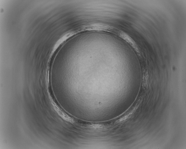 X0000086881130200704231056