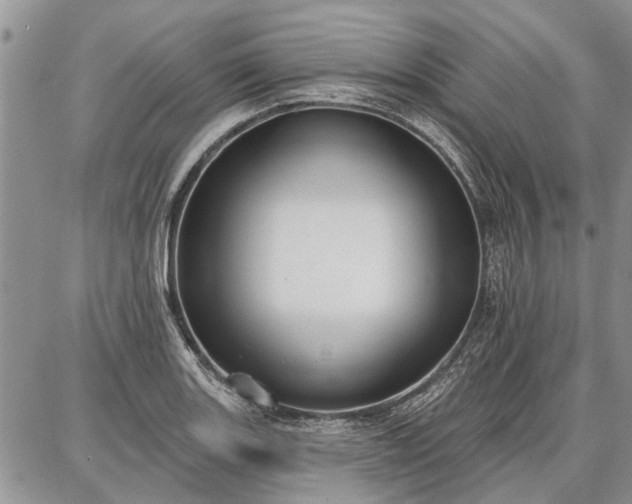 X0000086881131200704231056