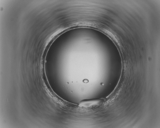 X0000086881133200704231056