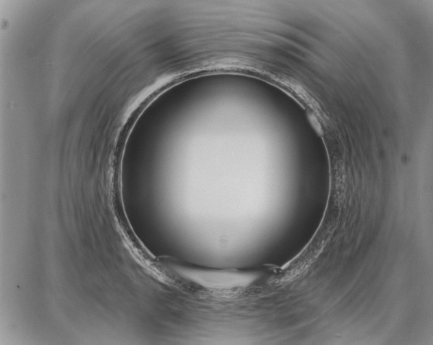 X0000086881134200704231056