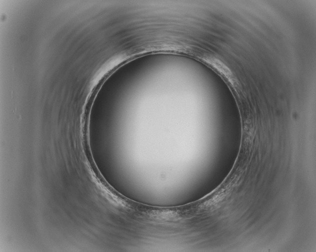 X0000086881135200704231056