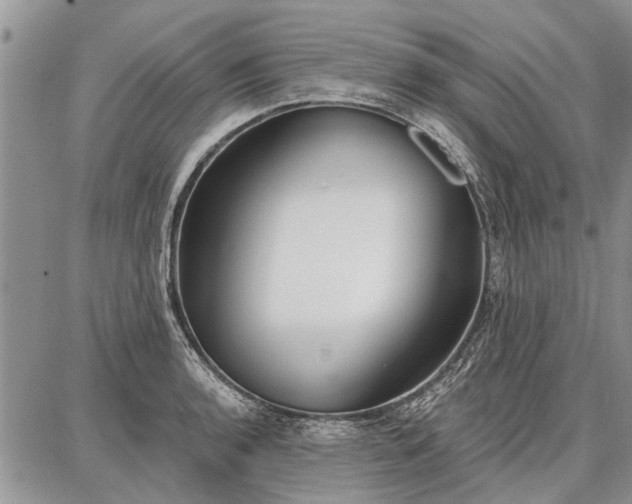 X0000086881136200704231056