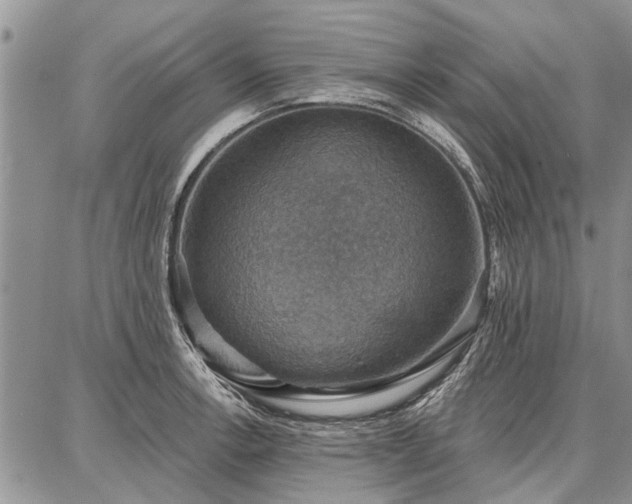 X0000086881138200704231056