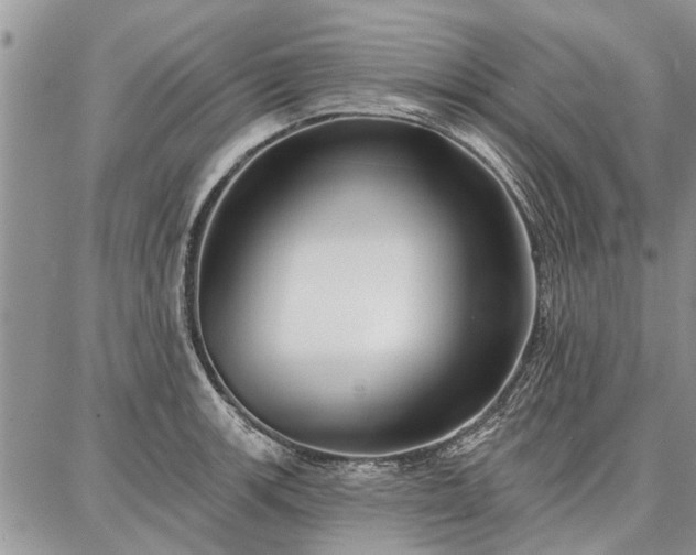 X0000086881139200704231056