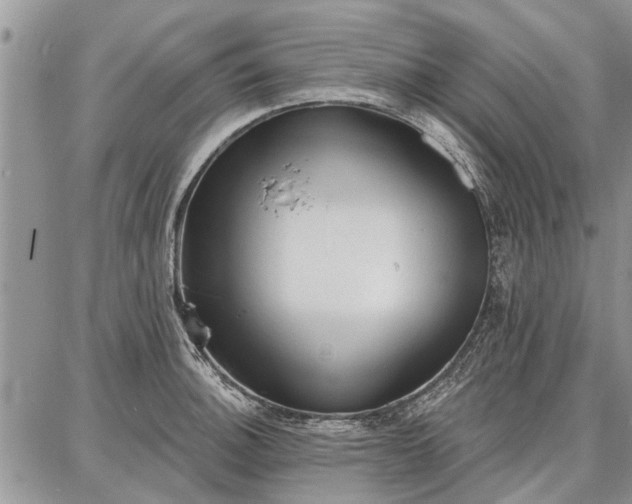 X0000086881140200704231056