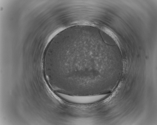 X0000086881141200704231056