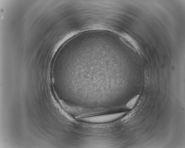 X0000086881142200704231056