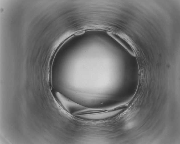 X0000086881143200704231056