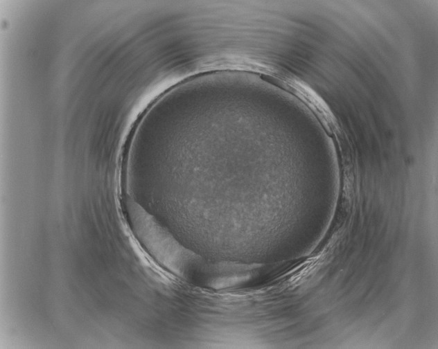 X0000086881144200704231056