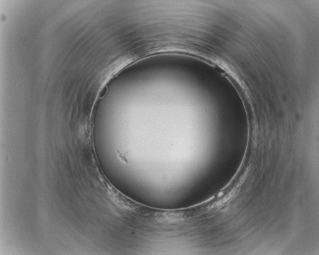 X0000086881145200704231056