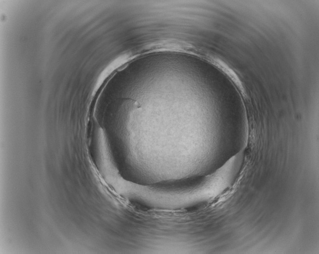 X0000086881146200704231056