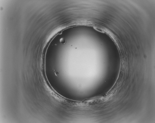 X0000086881147200704231056