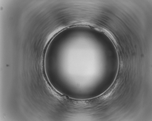 X0000086881149200704231056