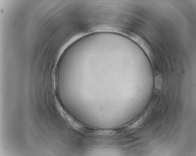 X0000086881150200704231056