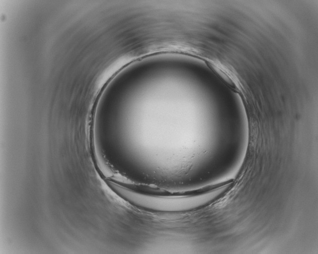 X0000086881151200704231056