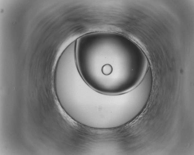 X0000086881152200704231056