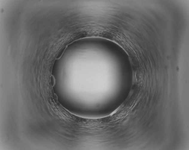 X0000086881153200704231056