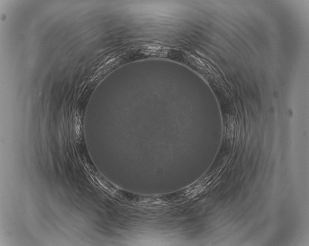 X0000086881154200704231056