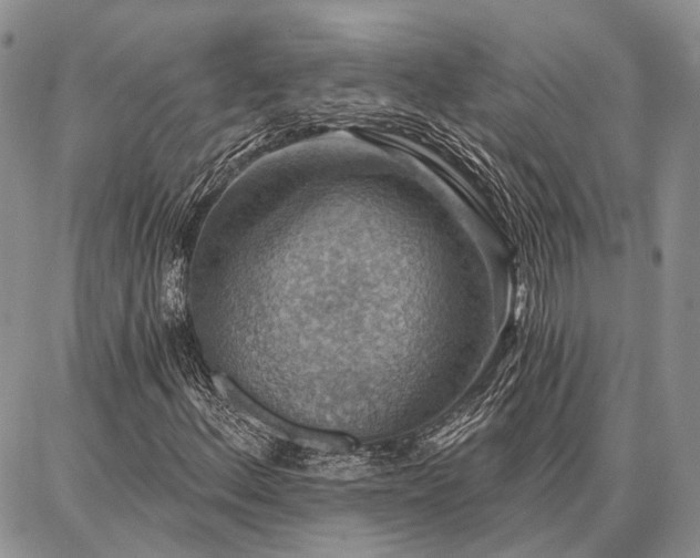 X0000086881156200704231056