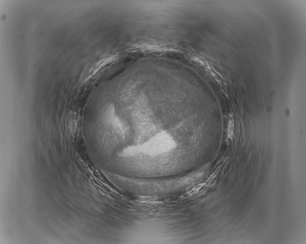 X0000086881157200704231056