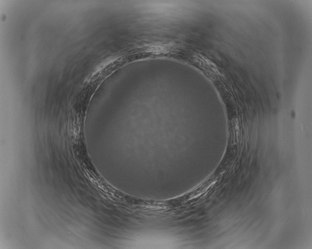 X0000086881158200704231056