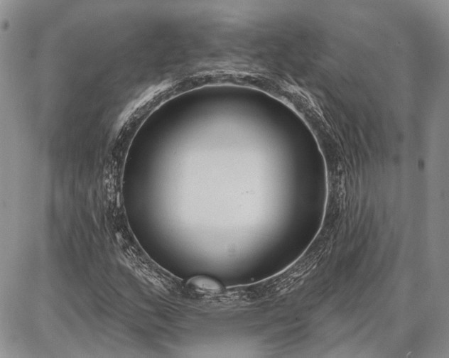 X0000086881159200704231056