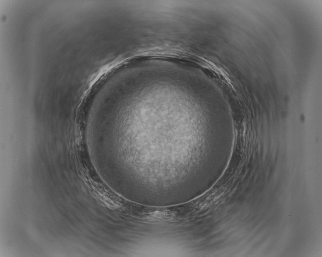 X0000086881160200704231056