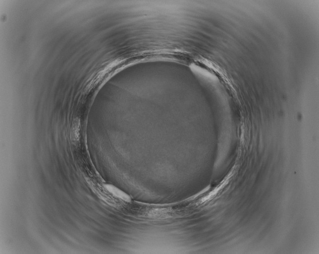 X0000086881161200704231056